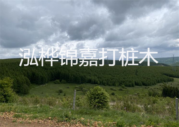 松木樁能重復施工么？