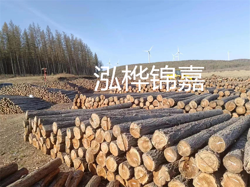 用路基松木樁施工方案提升工程質(zhì)量描述：了解路基松木樁施工方案的重要性，提高工程質(zhì)量關(guān)鍵詞：路基松木樁，施工方案，工程質(zhì)量