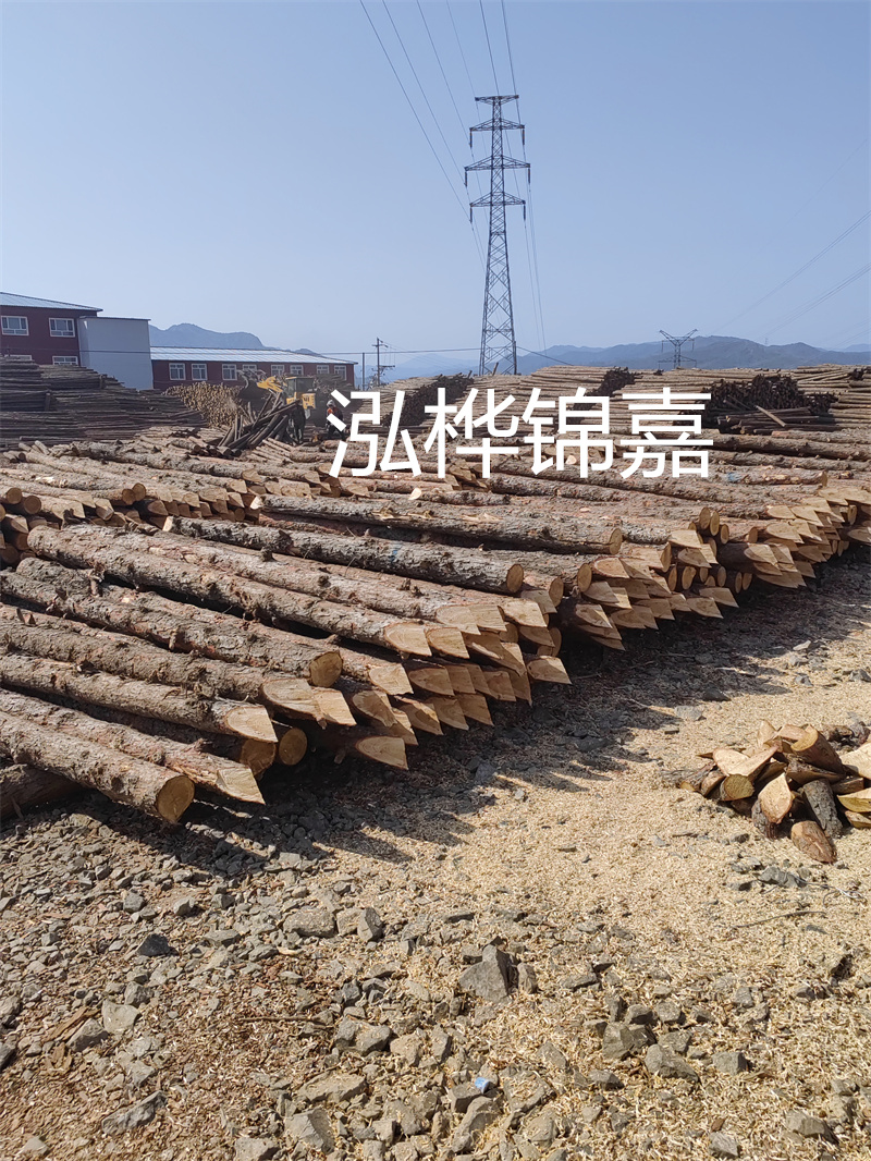 東莞市松木樁供應(yīng)商推薦——哪里有松木樁？