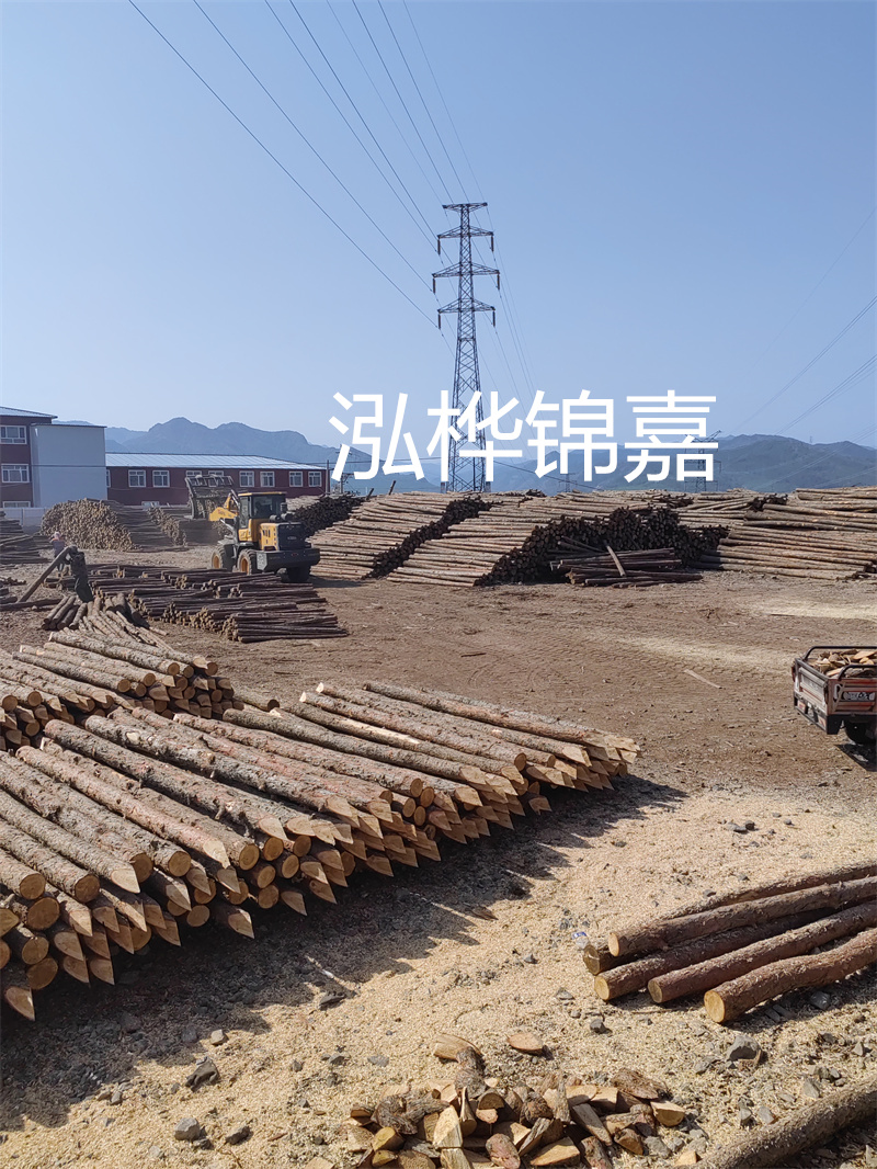株洲松木樁哪里買？這家供應(yīng)商值得信賴！