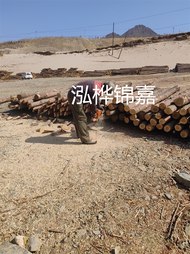 松木樁哪里有賣？挑選松木樁要注意什么？